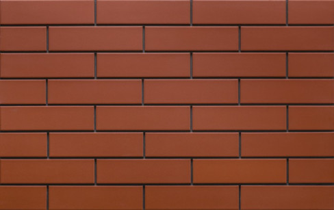 Facade tile Tara (9874) - 245x65x6,5 mm