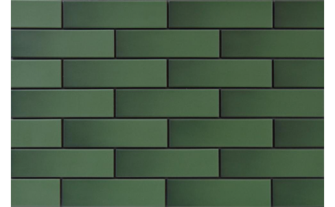 Facade tile Zielona (glazed) (9843) - 245x65x6,5 mm